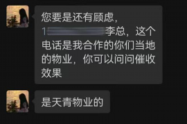 桃源遇到恶意拖欠？专业追讨公司帮您解决烦恼
